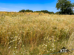 2025-07-05 Heuchelbergtrail - IMG_9140
